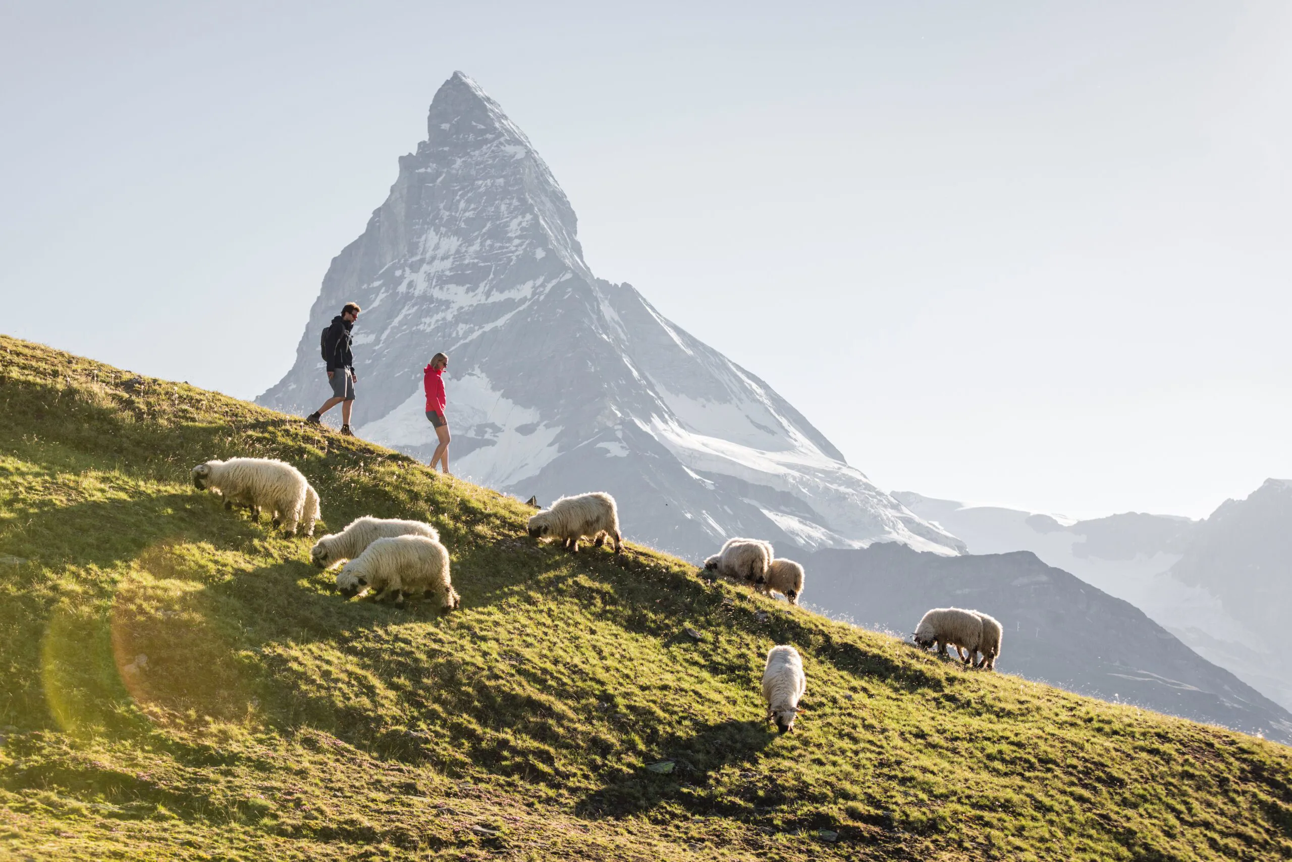Riffelalp Resort Zermatt Matterhorn Wandern